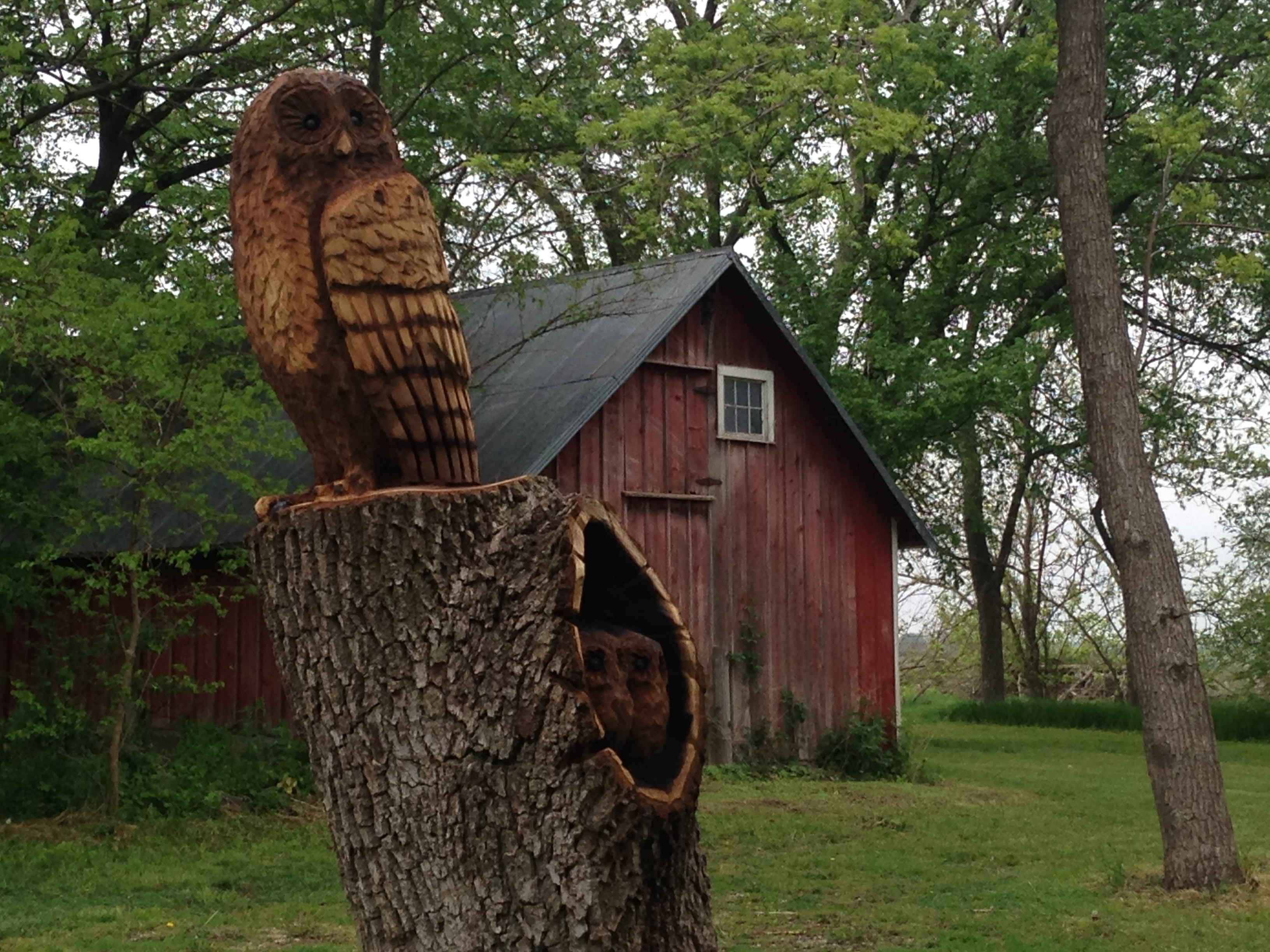 Image of a tree stump that is carved into an owl with a dark red wooden shed in the background.