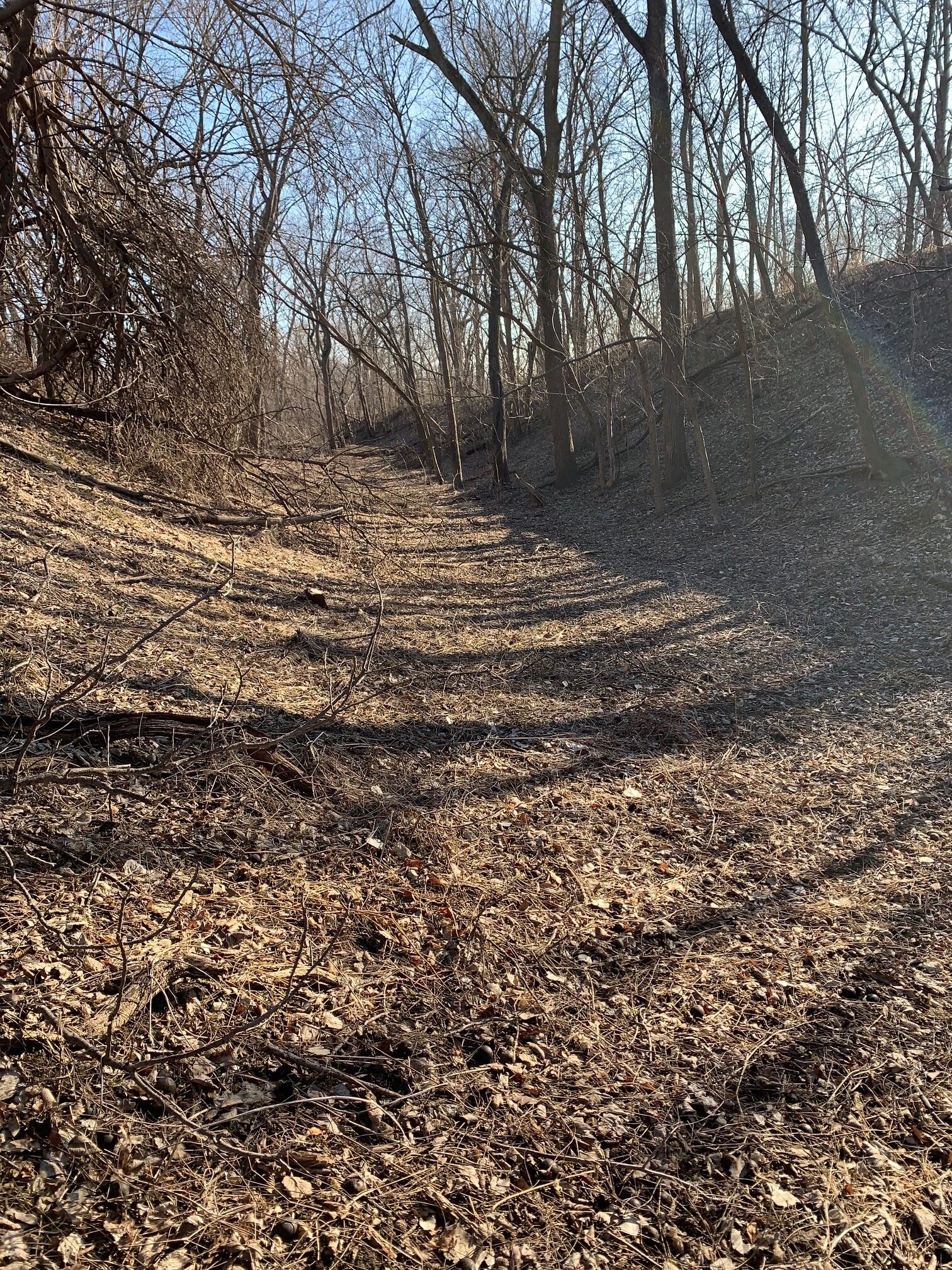 The long-forgotten ravine that once held the Newton and Northwestern Railroad