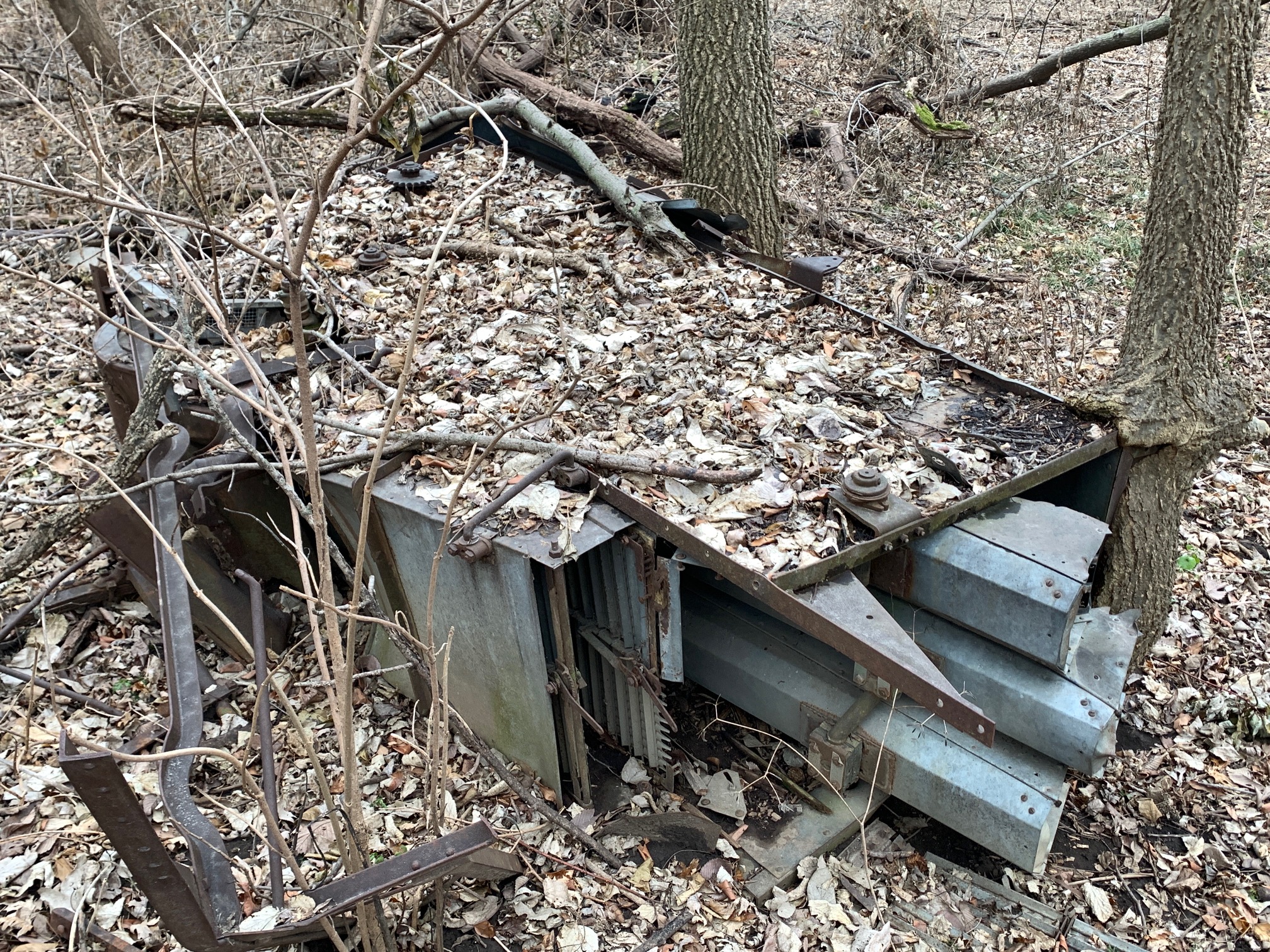 More archaeology behind the house. The winnowing body of a threshing machine lies on its side, discarded but not forgotten, in the woods on Owl Acres. At its most basic, the threshing machine is a wind box. It blows air upward though an agitated mass of plant materials: straw, chaff, and grain. The grain falls to the bottom and the lighter materials are carried up and away, to be blown into a straw stack on the ground. Moving arms called straw walkers, visible in the photo, work the stems toward the back where they’re blown out. The “shoe,” a shaking frame which carries the sieves, is also visible below the straw walkers. Barely visible through the tangle of brush is the drum-shaped blower housing, source of the wind that makes it all happen. The grain is collected at the bottom of the machine and fed into an elevator for loading to a wagon.