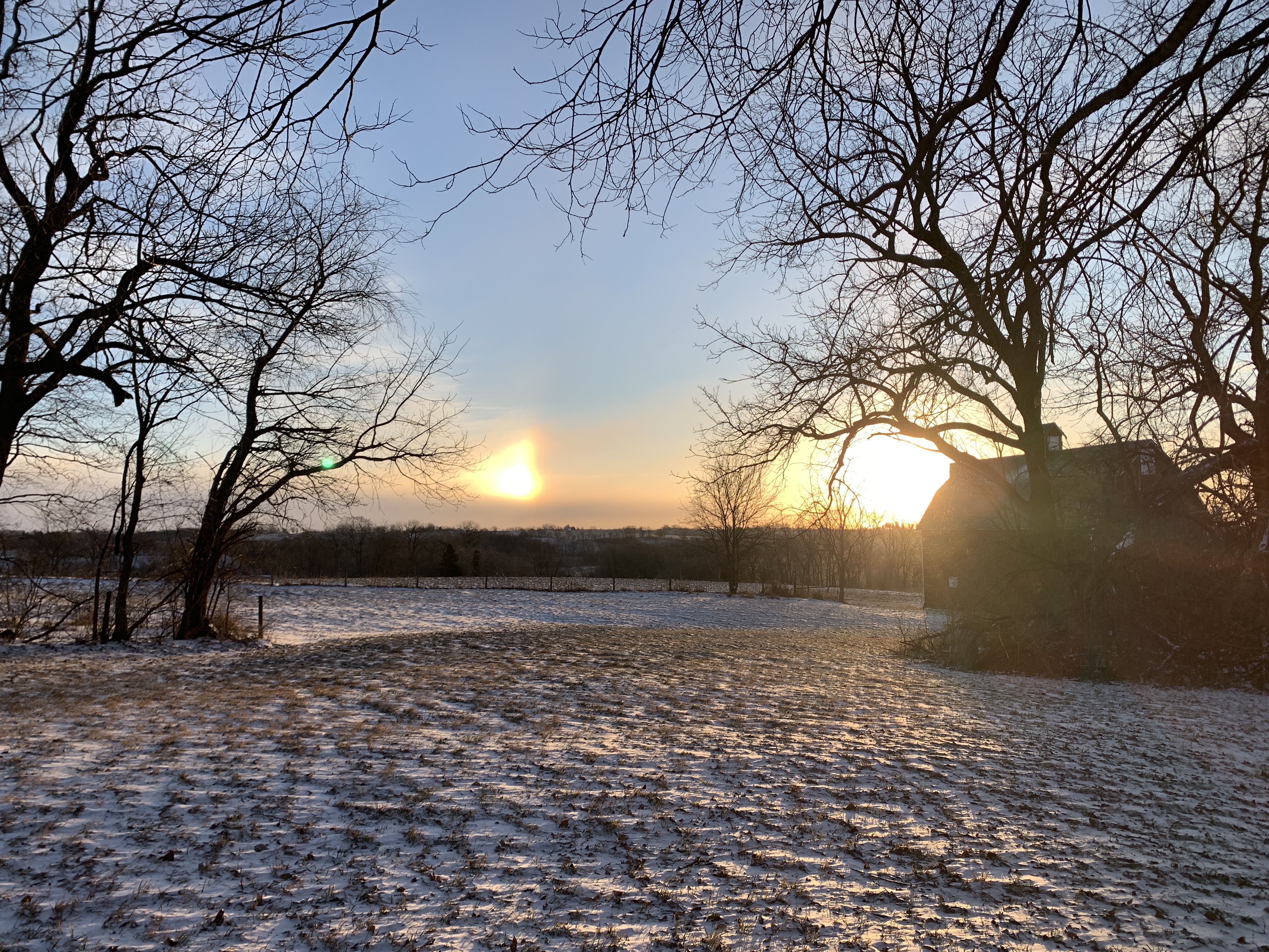 Two brilliant stars rise next to the barn on a frigid Iowa morning. Only one, of course; the one on the left is a sun dog.