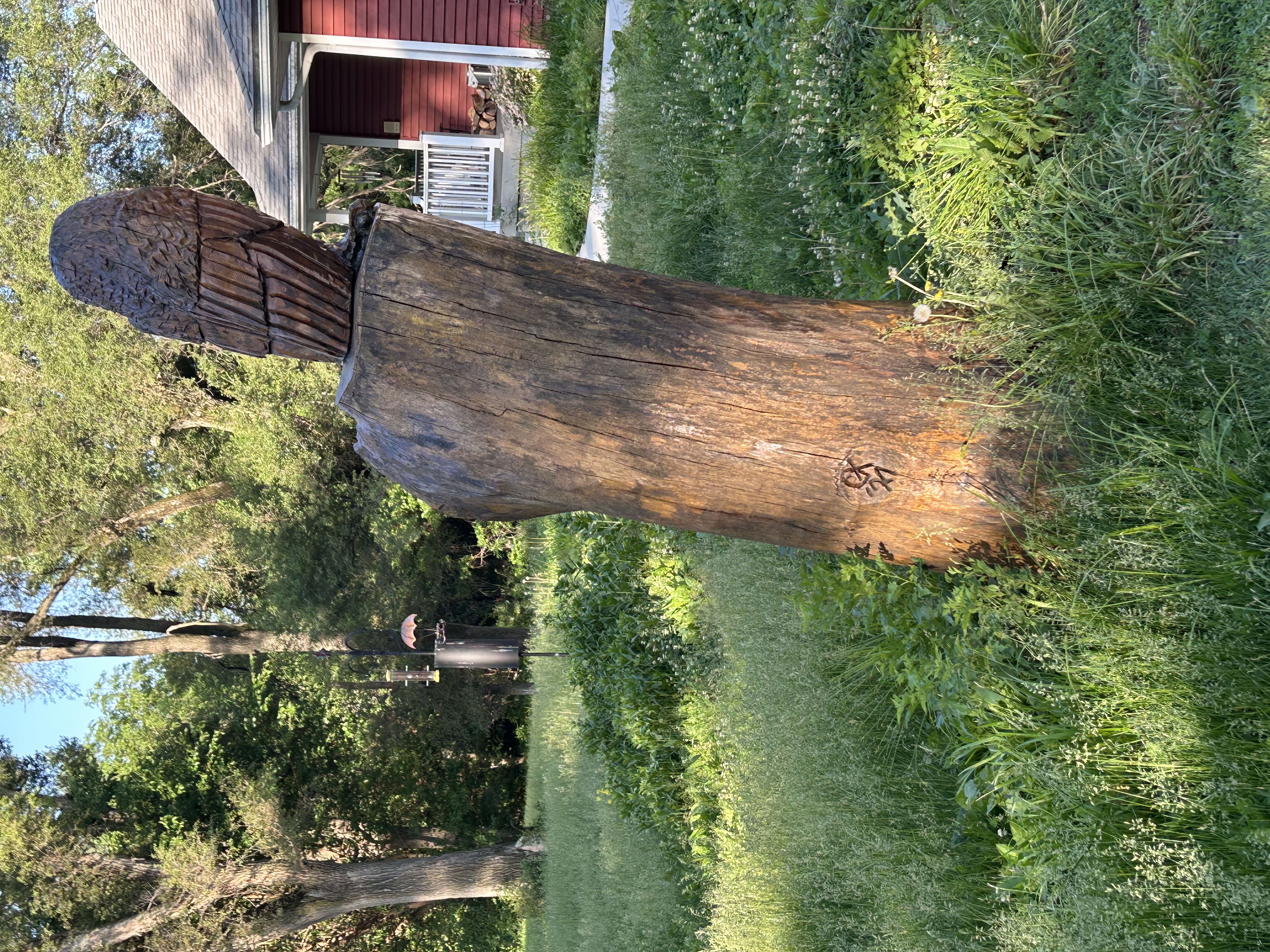 The Owl Acres Black Walnut tree sculpture stands in the foreground of a chaotic, un-mowed yard of grasses and weeds. A portion of the barn red, white-trimmed house is on the right. In the middle background is the bird feeder, surrounded by plants sprouted from seeds kicked out by the birds. Siberian Elm yard trees and the east face of the woods form background for this little world of May green in Iowa.